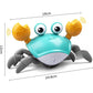 CrabbyCrawler™ - Tummy Time Crawling Crab